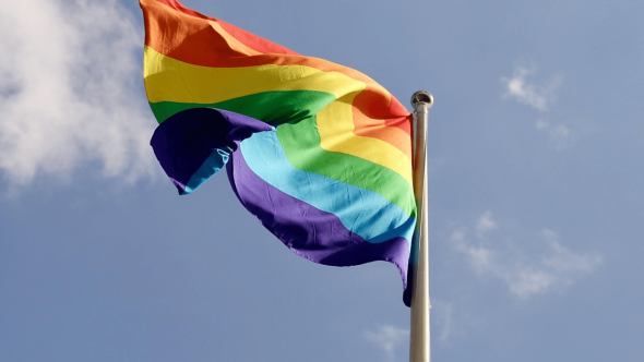 dia internacional contra homofobia