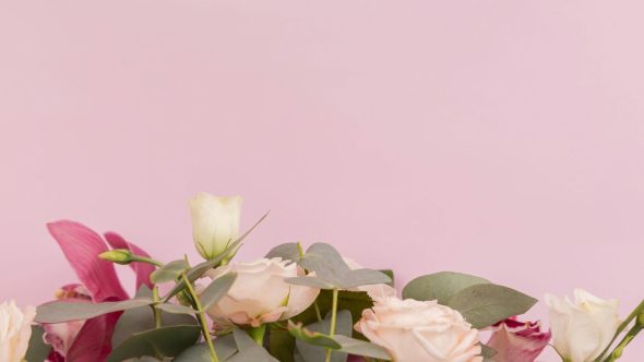 Dia das mães e endividamento (Foto: Reprodução / Unsplash)