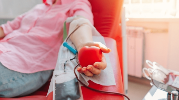 doação de sangue vinhedo