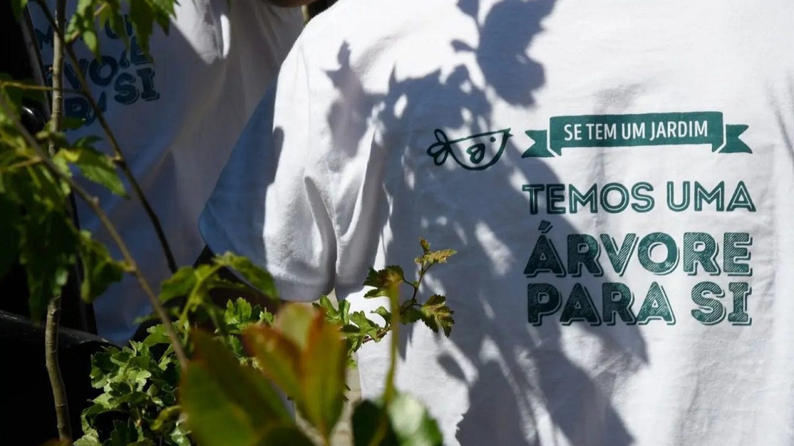Em Terras Lusas Paulo Visani