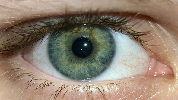 exame vista olhos catarata Gopinath Mohanta unsplash