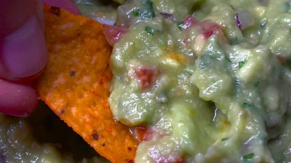 guacamole finalizada