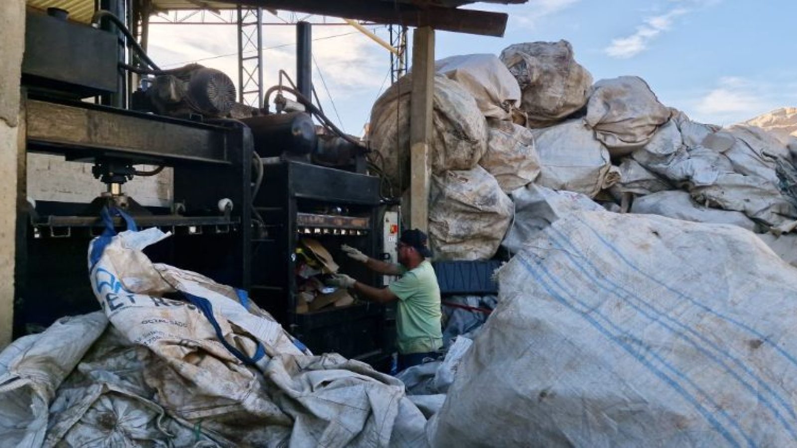 Semana do Meio Ambiente em Socorro (Foto: Reprodução / Prefeitura)