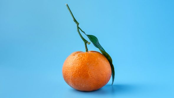 Laranja Laranjal Mae Mu Unsplash
