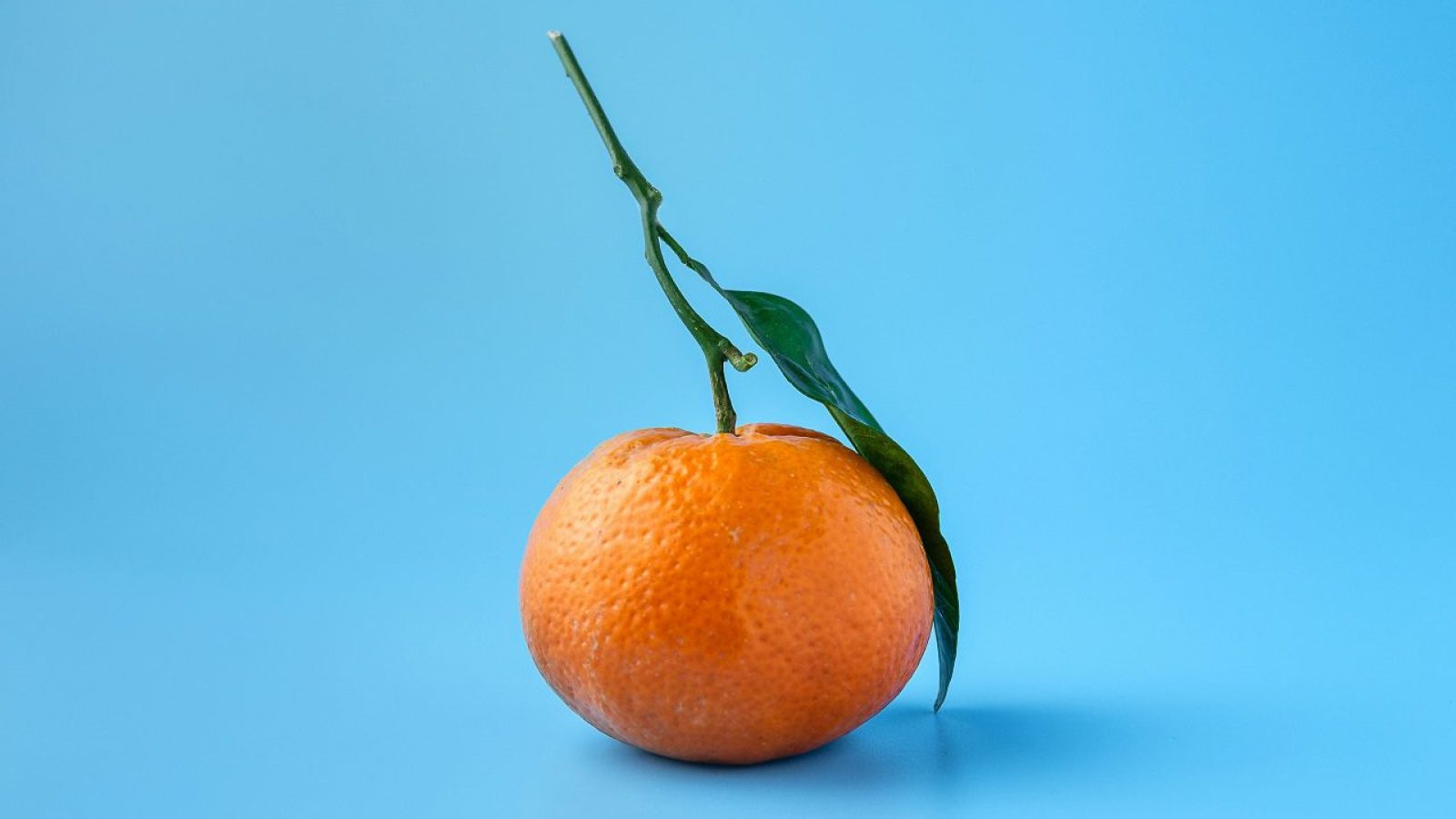 Laranja Laranjal Mae Mu Unsplash