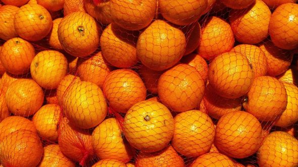 laranja laranjas orange Alejandro Duarte Unsplash
