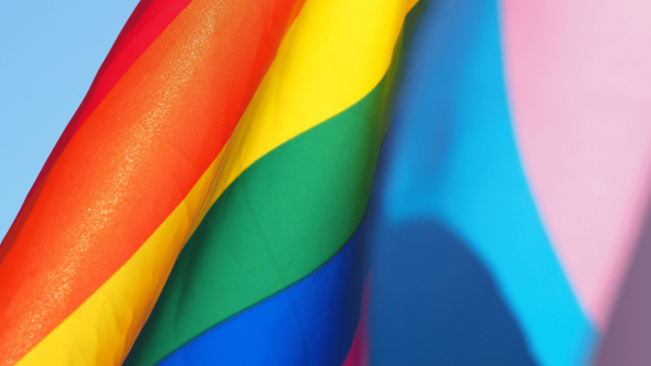 mês-orgulho-lgbt