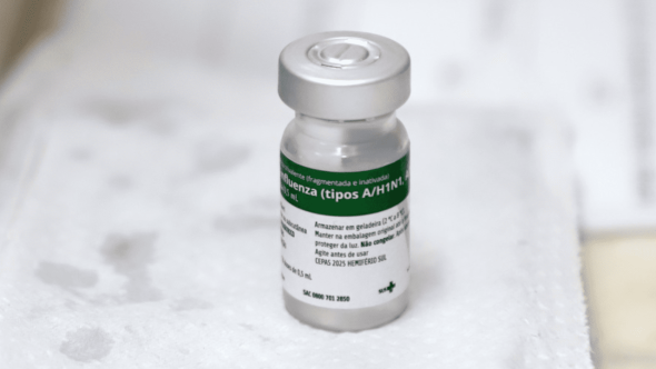 mortes influenza
