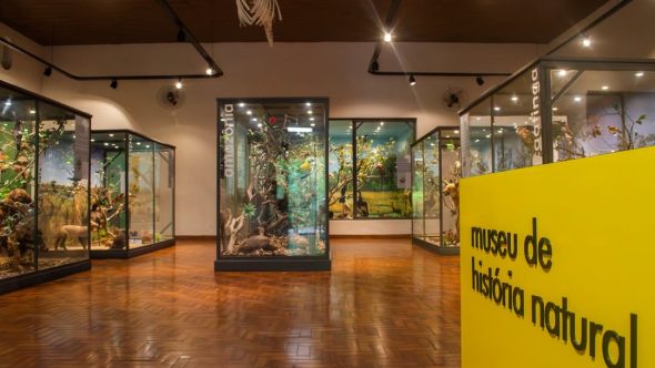 museu