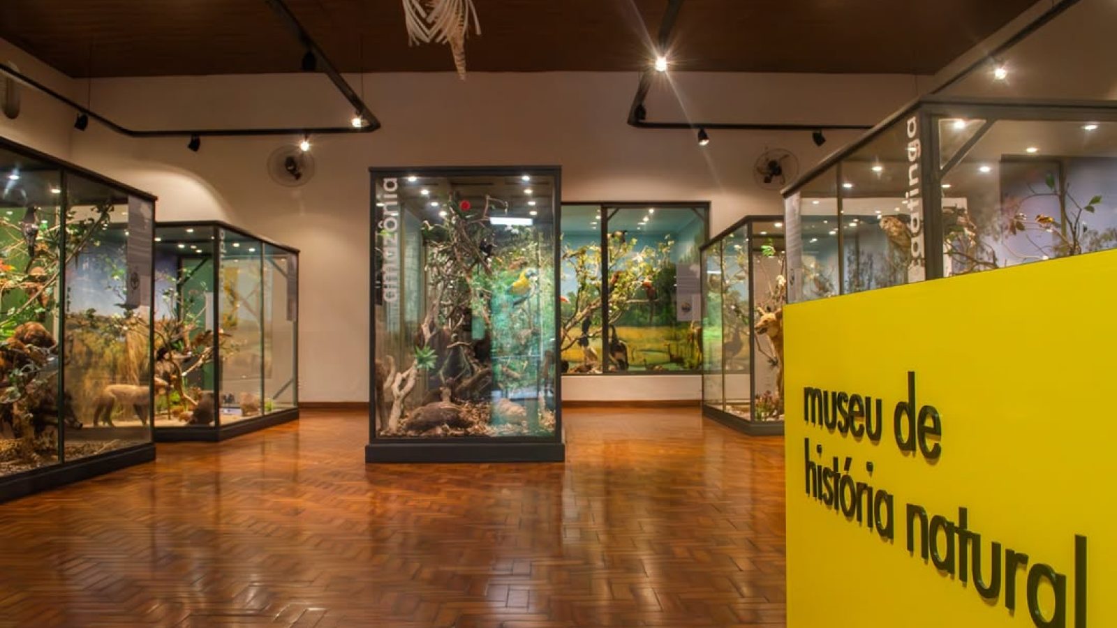 museu
