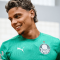 onde assistir palmeiras