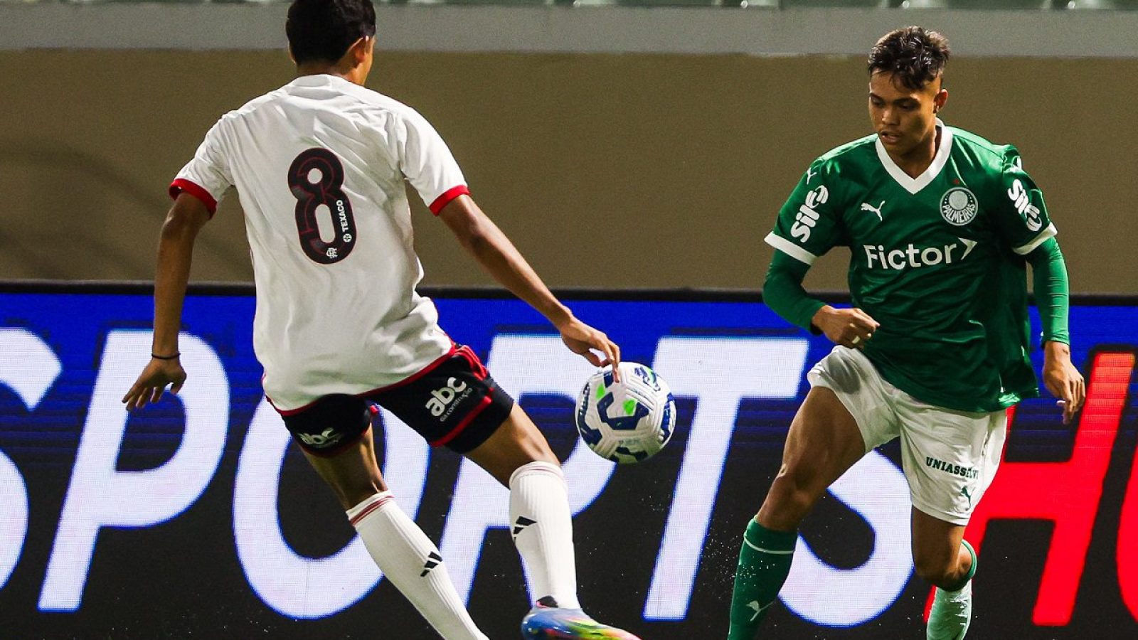 Fabio Menotti / Palmeiras FlickR