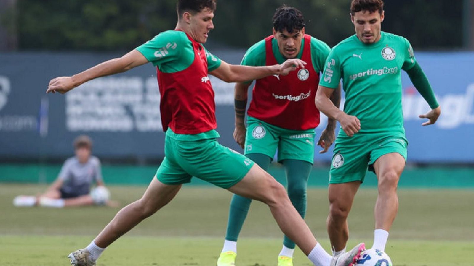 Palmeiras treino bahia jogo Cesar Greco Palmeiras