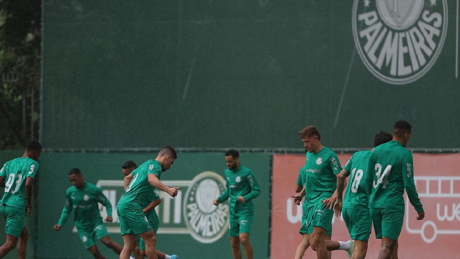 Palmeiras treino estreia brasileirão Fabio Menotti Palmeiras