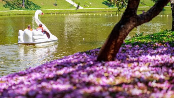 Paulínia Parque Feriado Folga Prefeitura de Paulínia