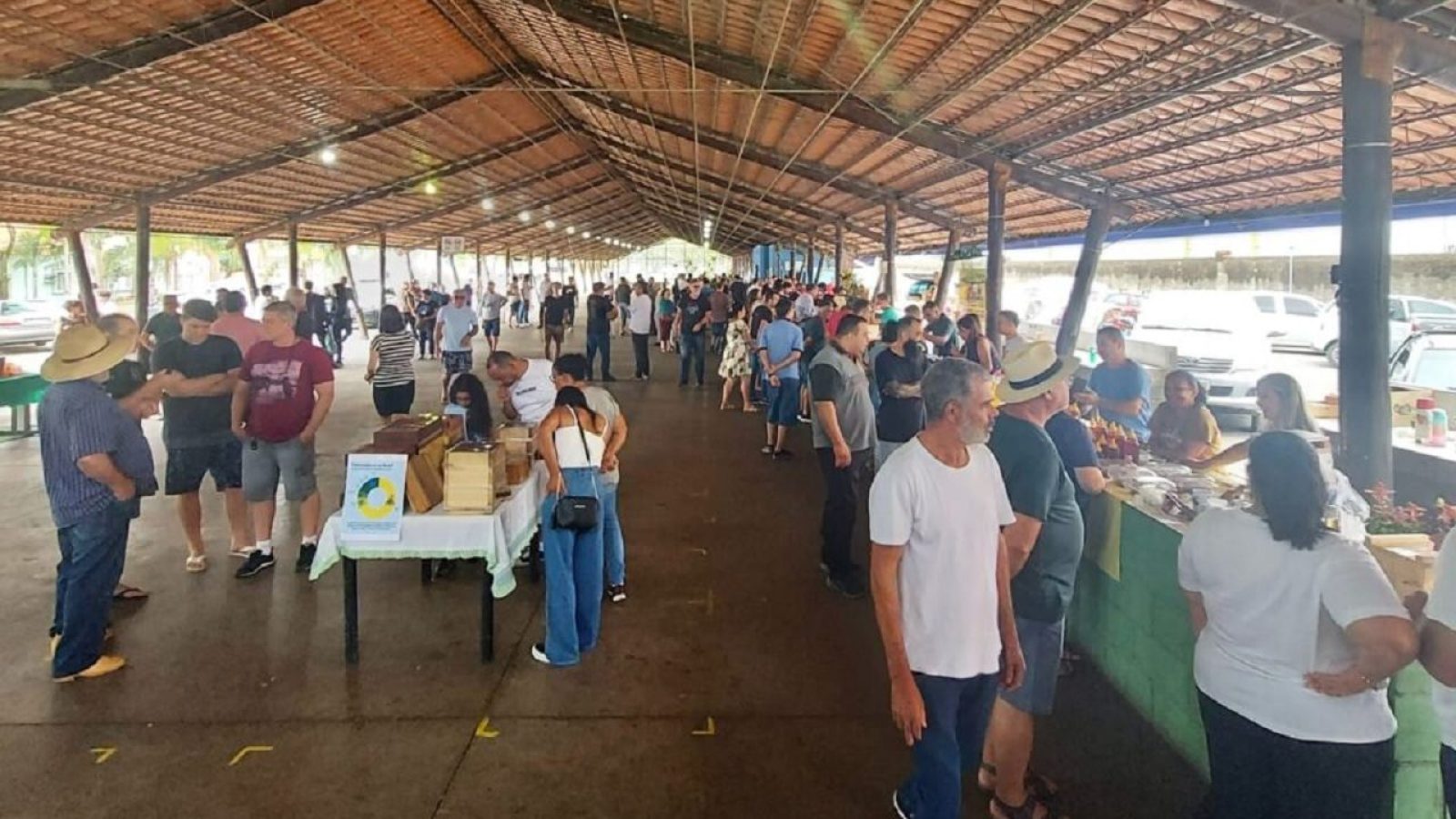 Encontro de Meliponicultura Urbana Piracicaba Prefeitura de Piracicaba