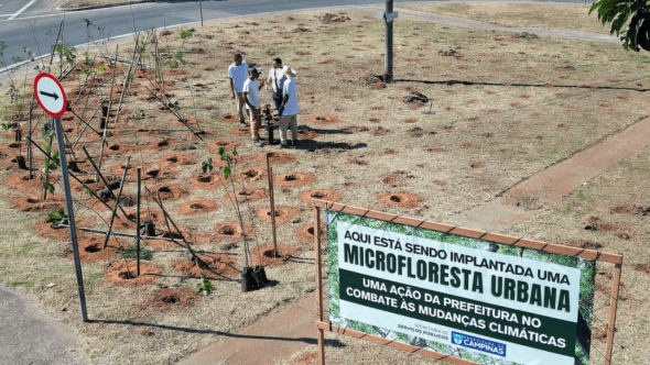 setima microfloresta
