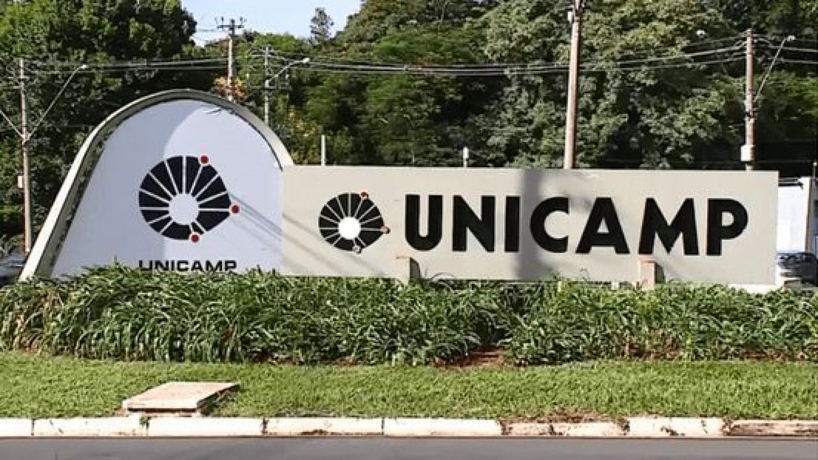unicamp aprova cotas