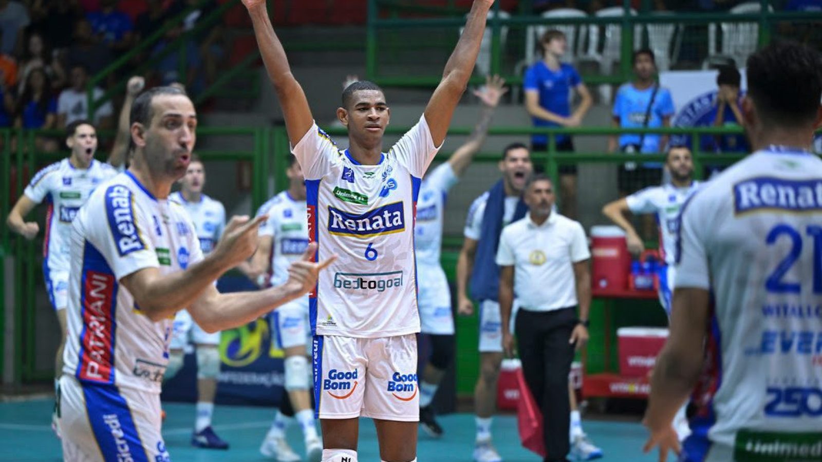 volei renata